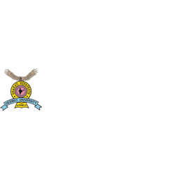 Bharati Vidyapeeth Deemed to be University College of Engineering, Pune India