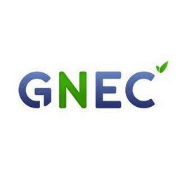Global NGO Executive Committee