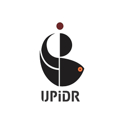 UP Institute of Design Noida